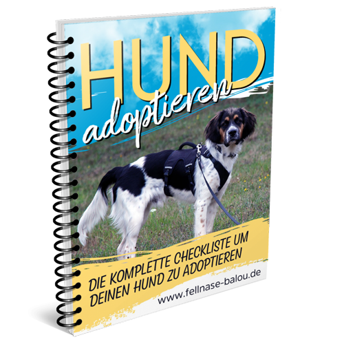 Adoptiere deinen Hund