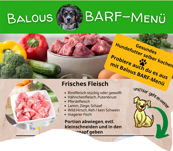 Barf-menü-hund