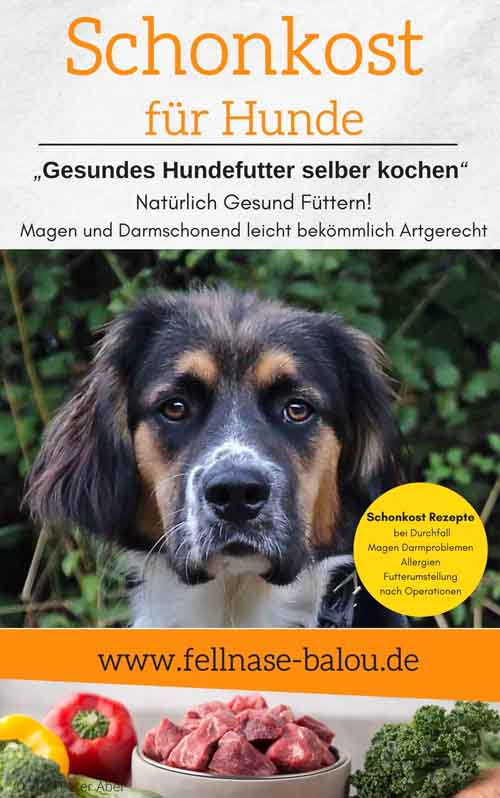 Schonkost für Hunde