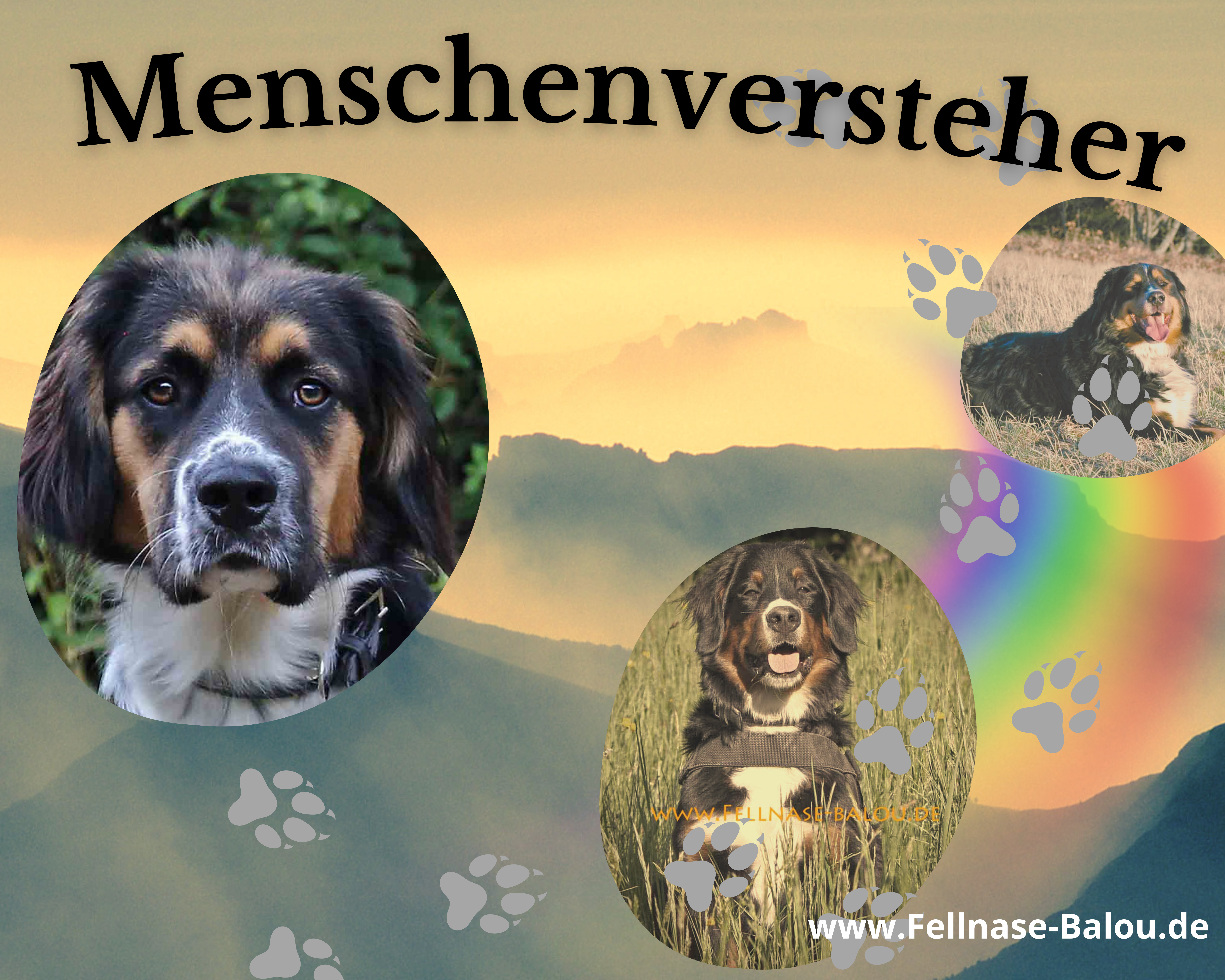 Menschenversteher fellnase-balou.de